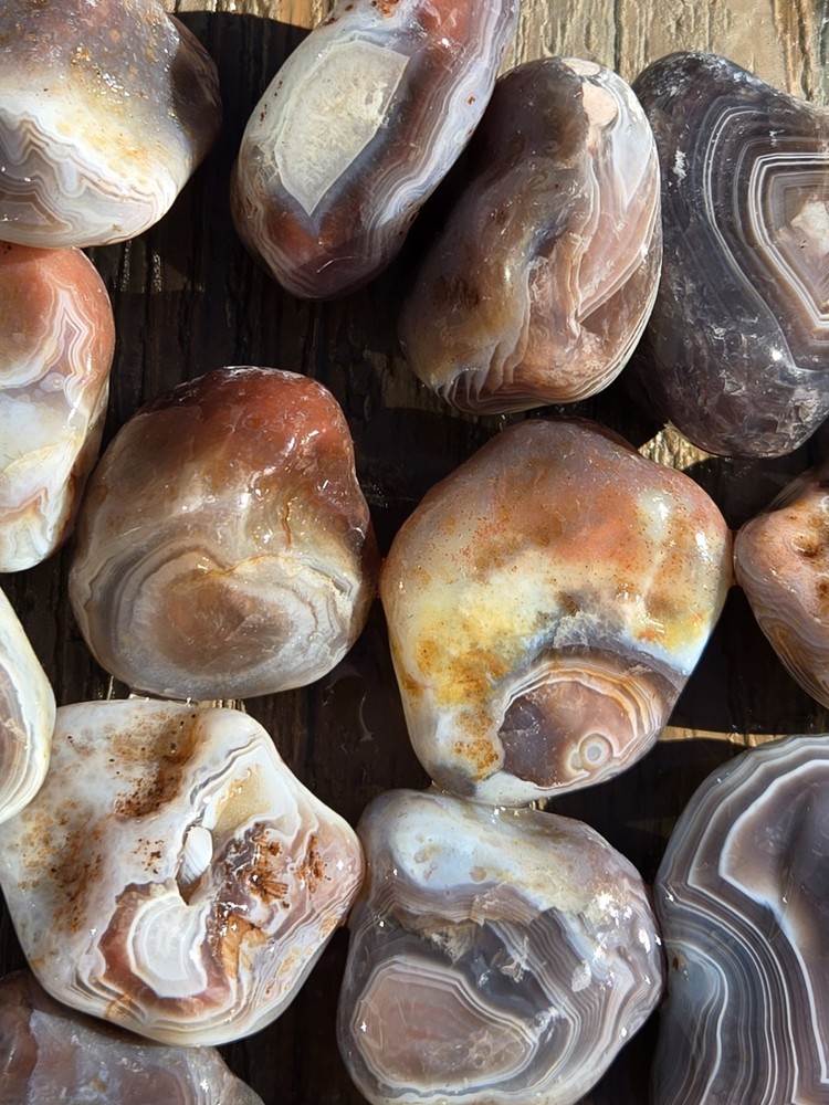 Botswana Agate Selects - SETTING SUN - Rough, Natural, Not Polished A+ Grade