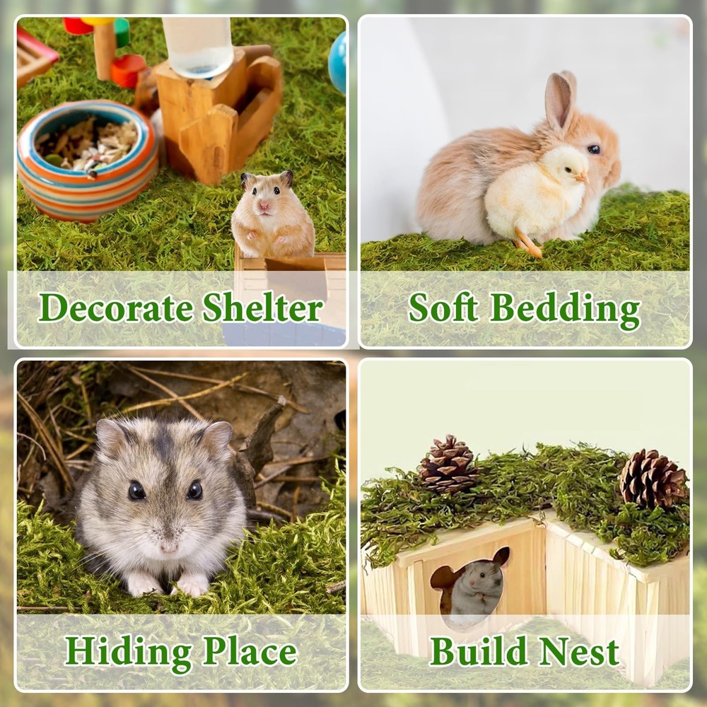 25QT Hamster Moss for Bedding Nesting Hideout, 100% Natural Moss for Rabbits ...