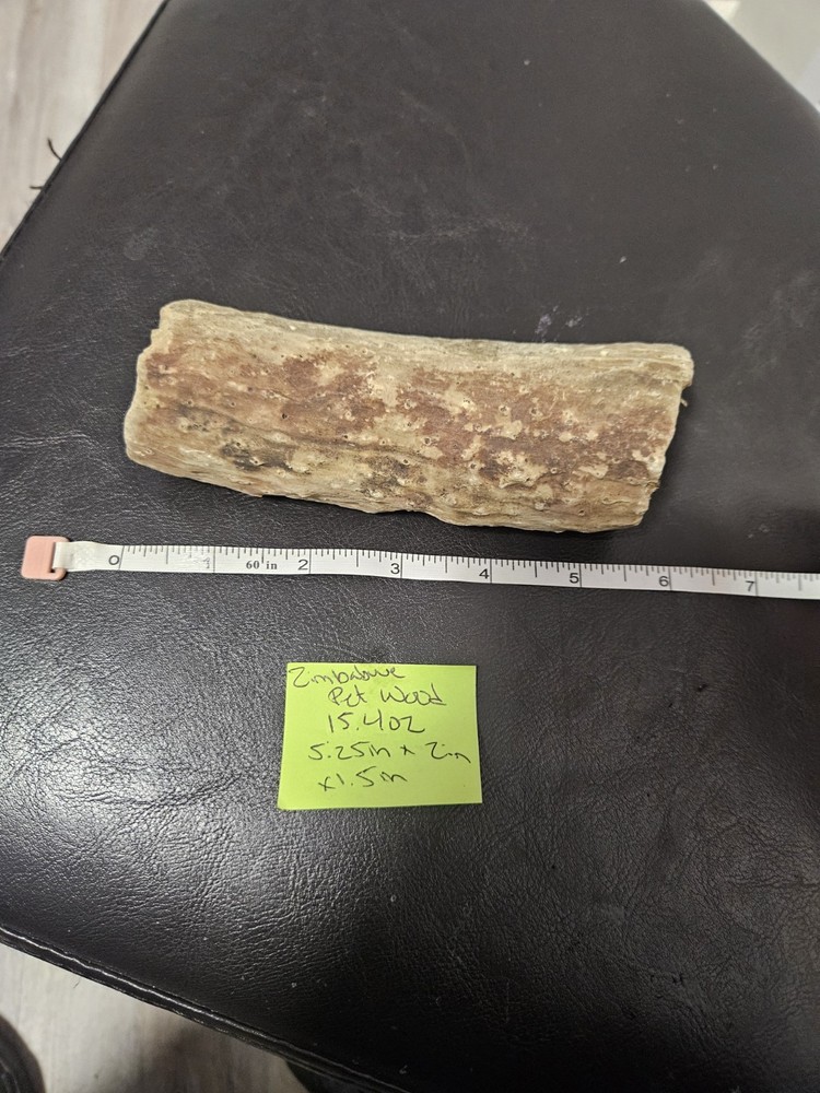 Zimbabwe Petrified Wood Specimen (15.4oz)