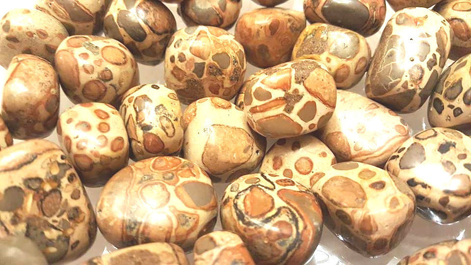 Leopardite from Peru