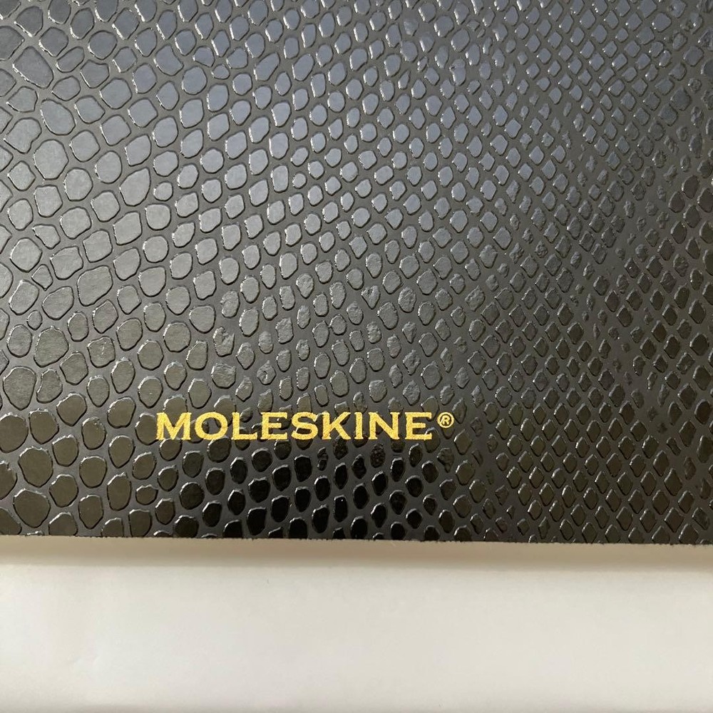 MOLESKINE PRECIOUS & ETHICAL COLLECTION
