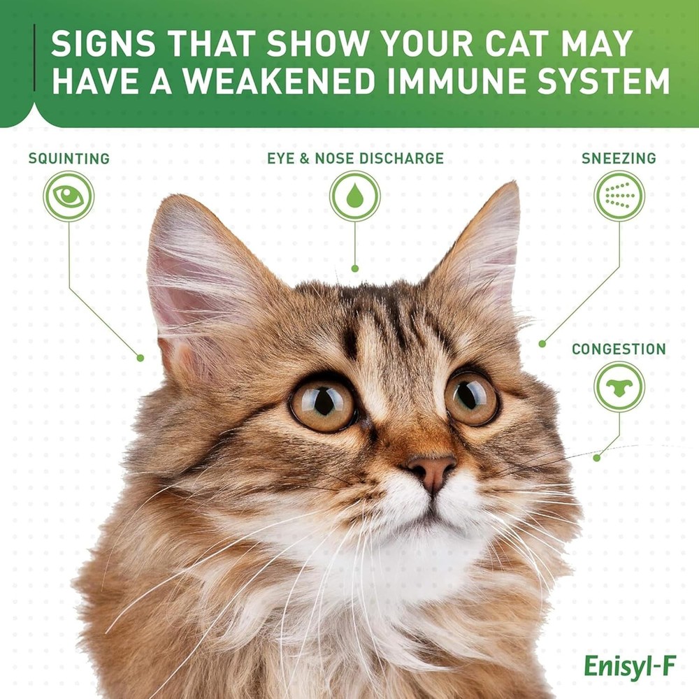 Cat L-Lysine Chews - Promotes Healthy Respiratory Function