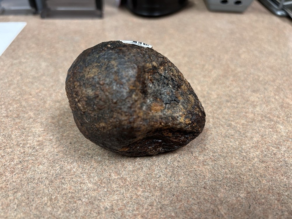 Avocado Stone
