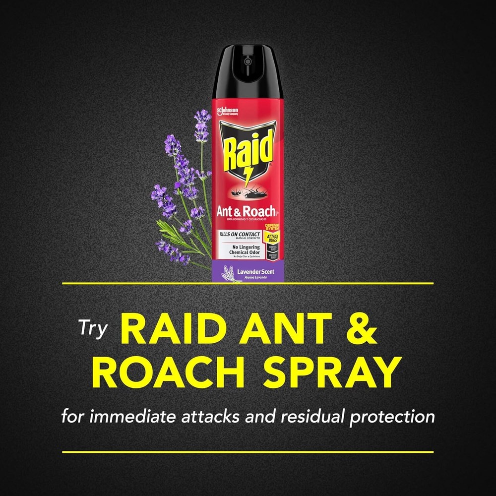 Raid Ant & Roach Killer Spray for Listed Bugs, Keeps Killing for Weeks, Lavender