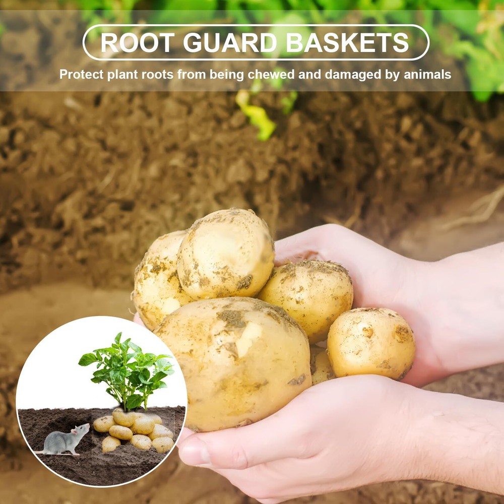 6 Pack Root Guard Baskets Stainless Mesh Cages 1/3/5 Gallon Gopher Protect