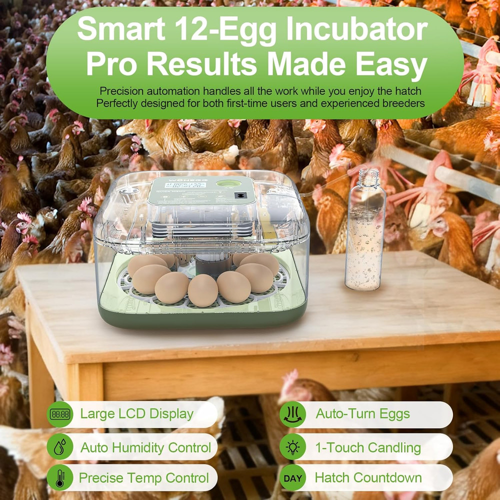 Incubators for Hatching Eggs, 12 Eggs Capacity, Egg Incubator with Automatic Egg