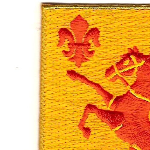 113th Cavalry Regimen Patch