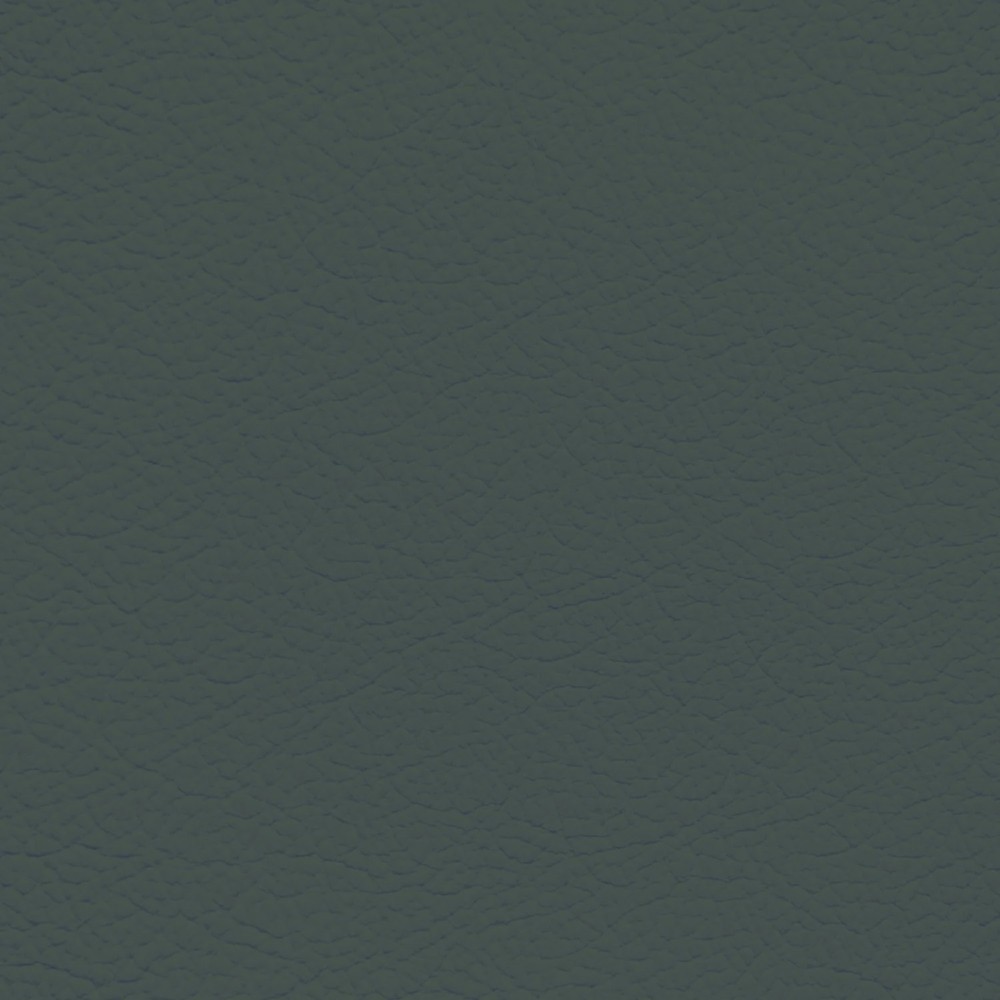 GM Cedar Green Leather Dye