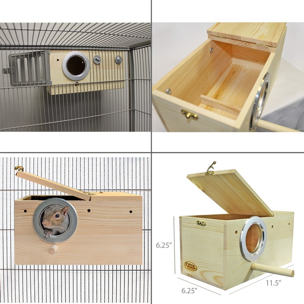 Congo Cage & Starter Package for Squirrels