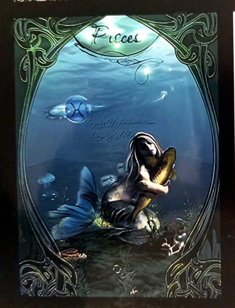 Pisces The Fish Devoted Sensitive Selfless Kind Zodiac Celestial -MAGNET