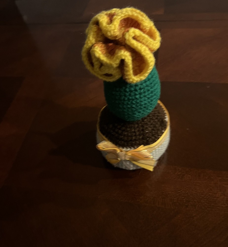 Crochet Cactus Table Decor