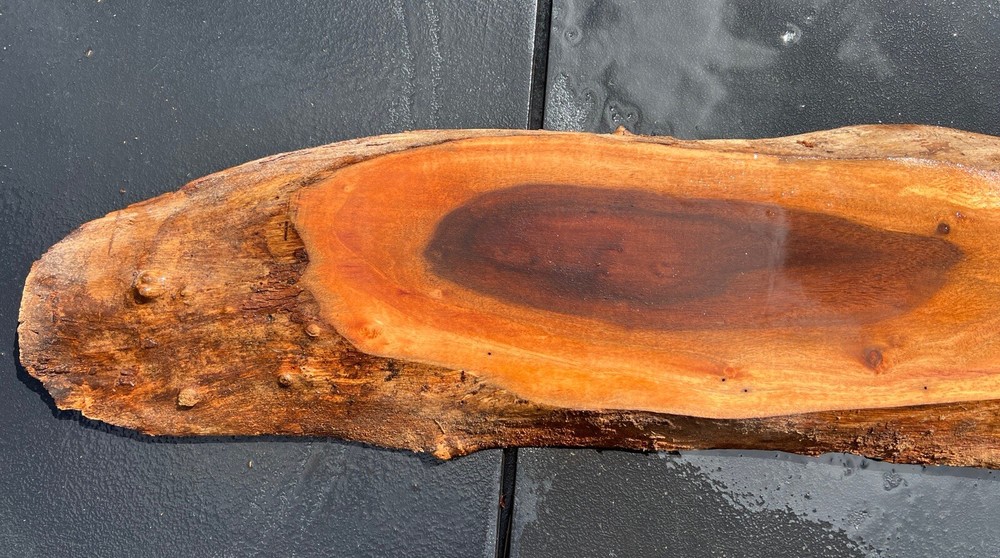 Hawaiian Milo Board #12270
