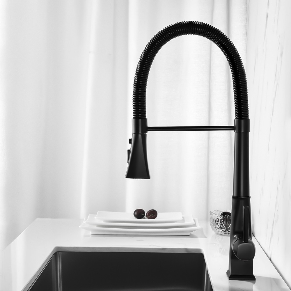 Pull-Out Spray Kitchen Faucet, High-Arc Single Handle 360° Swivel