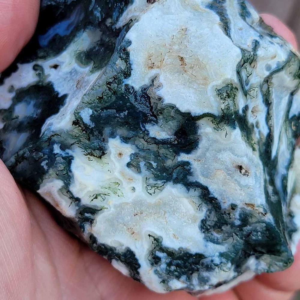 Random Pull India Tree Agate Tumbling Trimmer Rough!