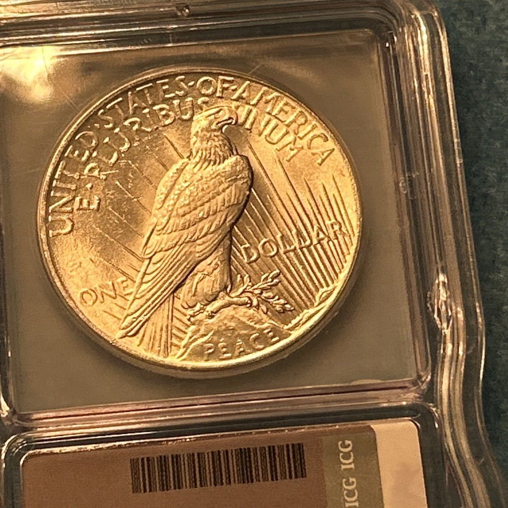 1925 PEACE DOLLAR ICG MS62 - 2 Available!