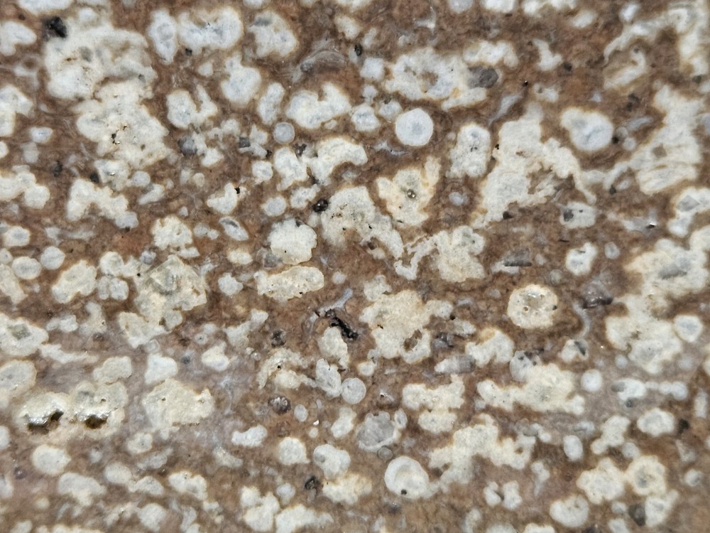 Odd Lapidary Slab 116 Grams