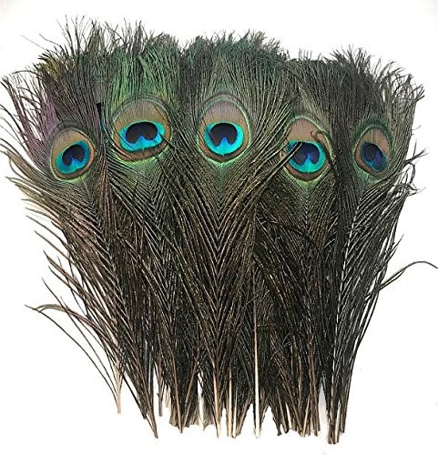 Peacock Eye Feathers (Natural 10-12", per 100)