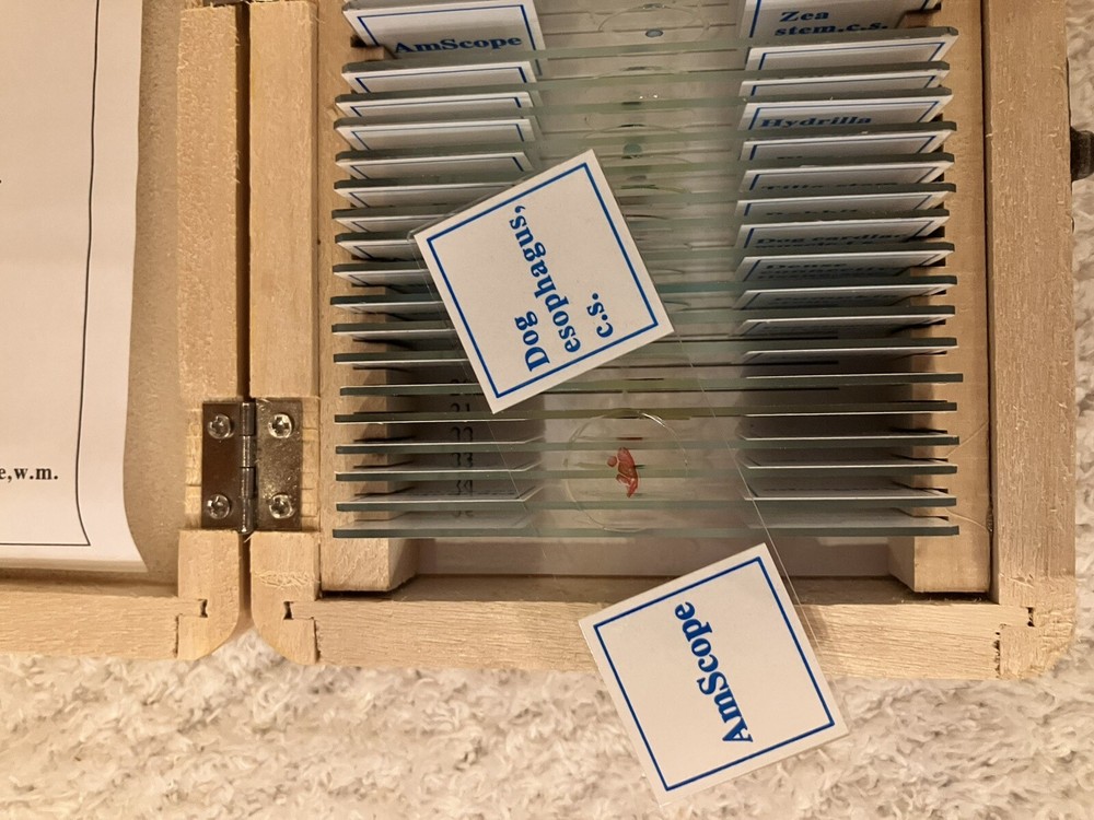 Prepared Biology AmScope Slides