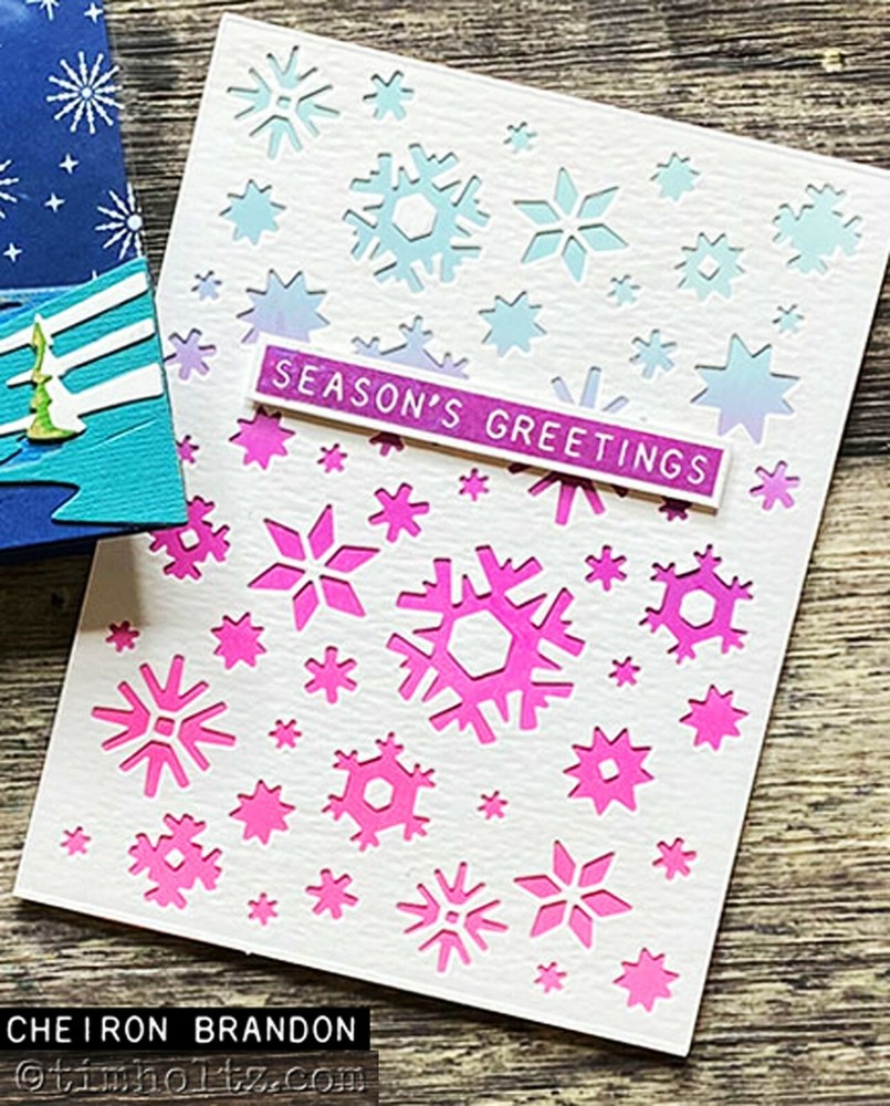 Sizzix Thinlits Artic die #664967 Retail $16.99 designer Tim Holtz