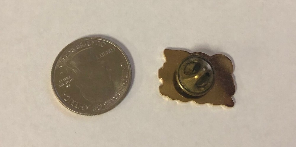 100% 1996 Pin