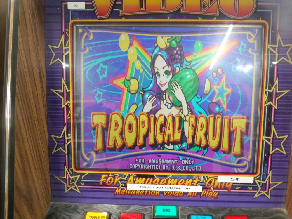 Tropical Fruit by IGS