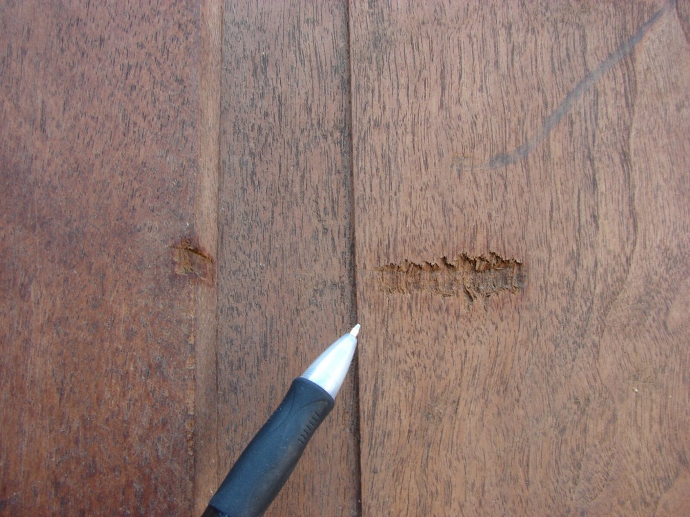 19TH CENTURY RAISED PANEL WALNUT DOOR PEGGED MORTISED