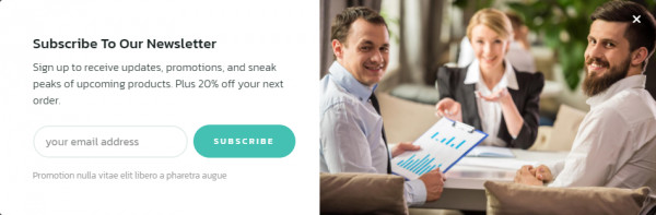 Premium Wordpress Elementor Template Kit Bundle | Business & Service Theme