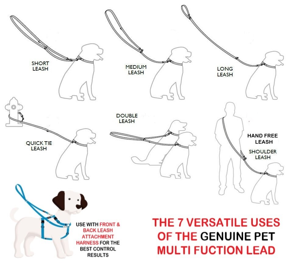 Multi-Function Dog Lead Training Leash Collar Webbing