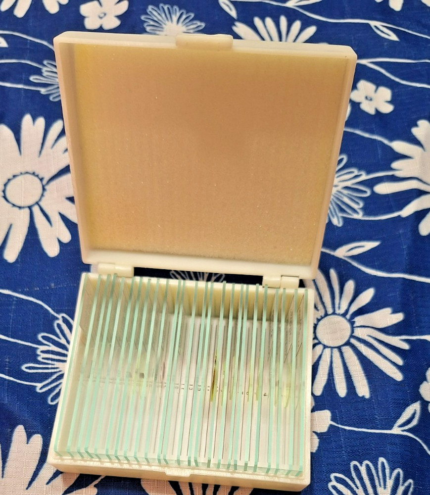 MS-SETINTR introductory slide set home science tools