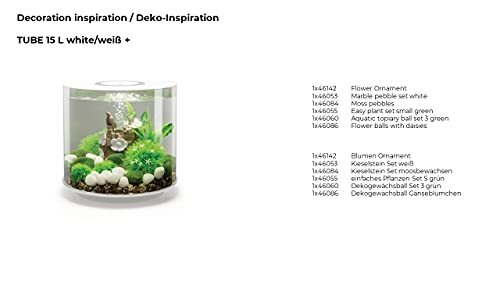 46084.0 Moss Pebbles Aquariums