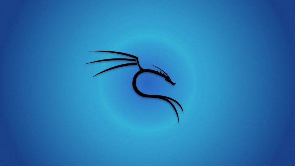 Kali Linux Latest 64-bit BOOTABLE/LIVE USB