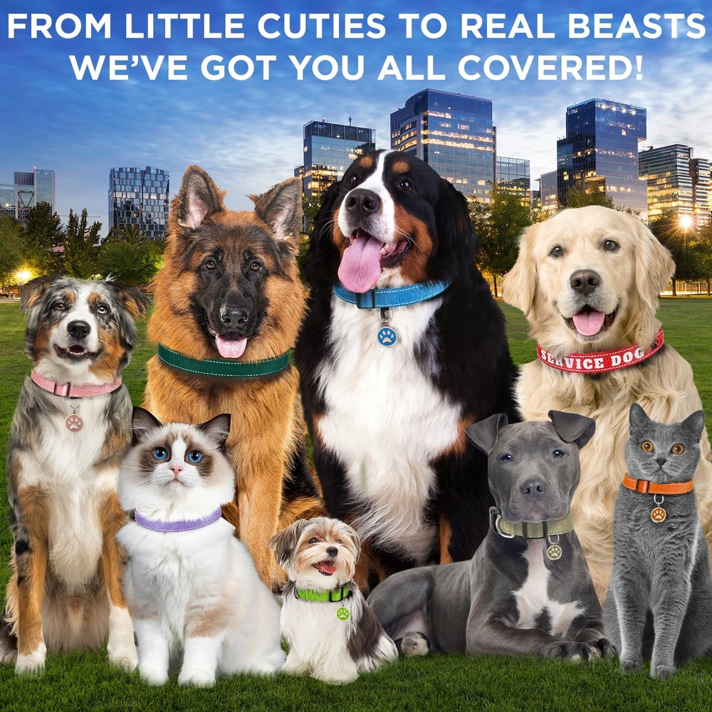 TECEUM Reflective Pet Collar – Red - ESA – M – Extra Soft Medium, -