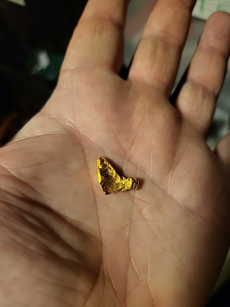 Gold Nugget