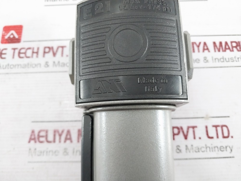 ANI E21 Modular Lubricator 12 BAR-174 PSI