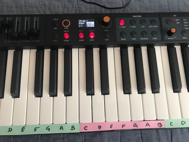 Studio Logic Numa Compact 2X 88 Key - Keyboard Piano