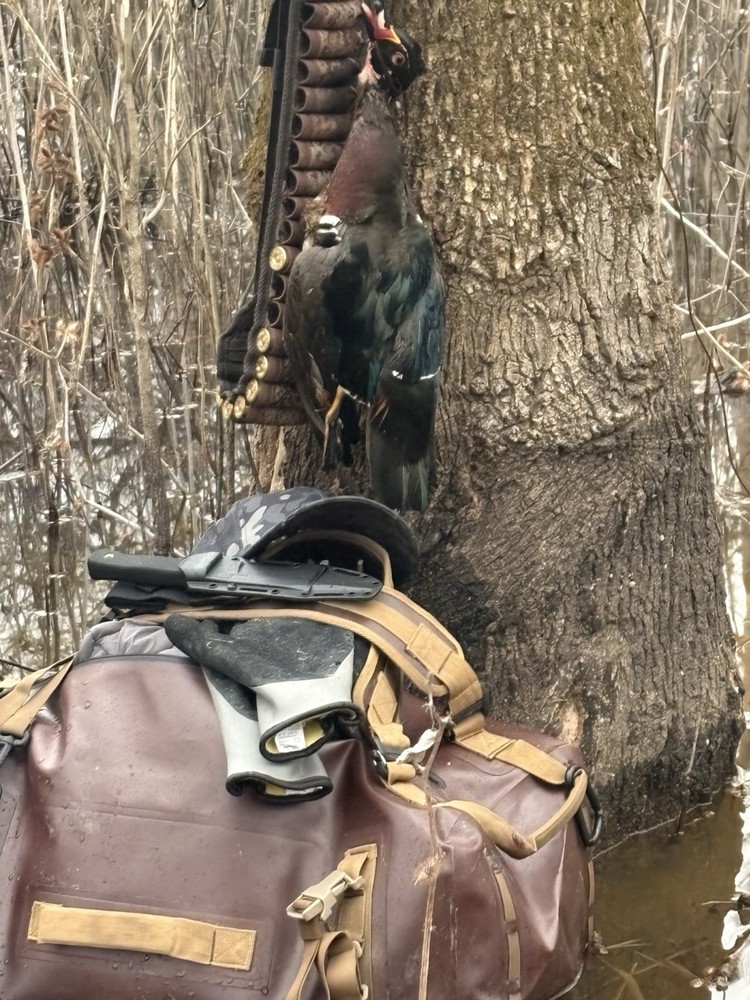 Dive Bomb Waterproof Duffle/backback duck