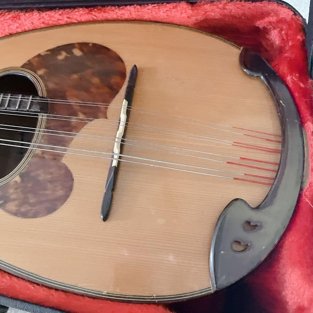 SUZUKI Mandolin M-60 with hard case