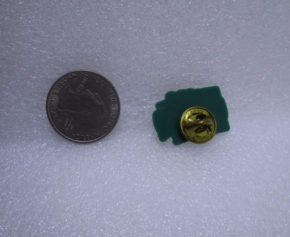 State Of Washington Plastic Pin
