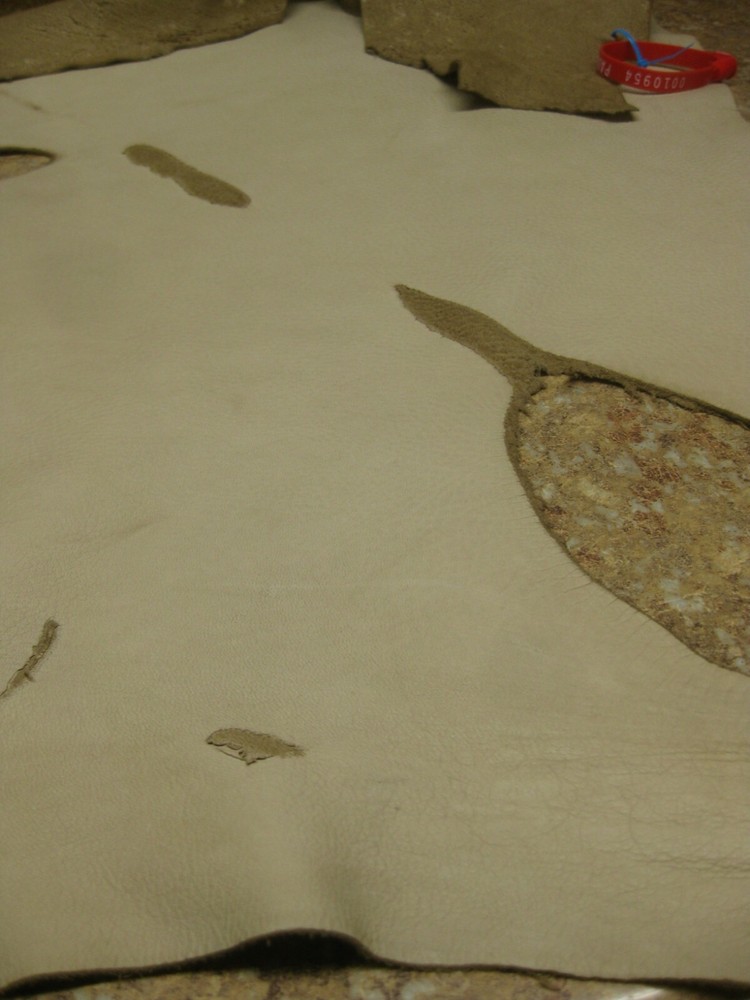 Tanned Deer Leather 0010954 row 13 a