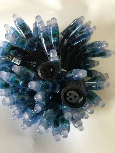 LED pixel lights 100 nodes 12V-WS2811