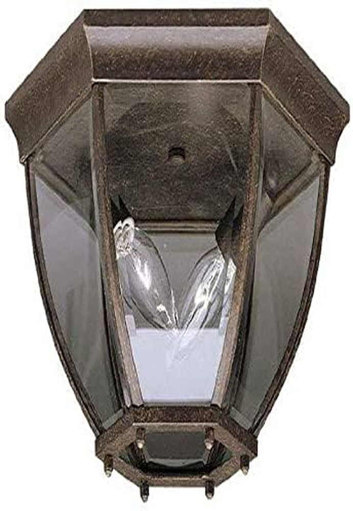 9886TZ Outdoor Ceiling 2-Light, Tannery Bronze