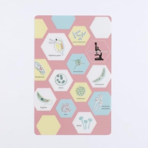 Green Flash STUDY HOLIC Clear Bookmark Microbiology ST-370