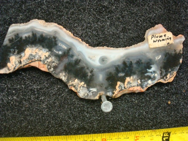 plume agate slab wyoming