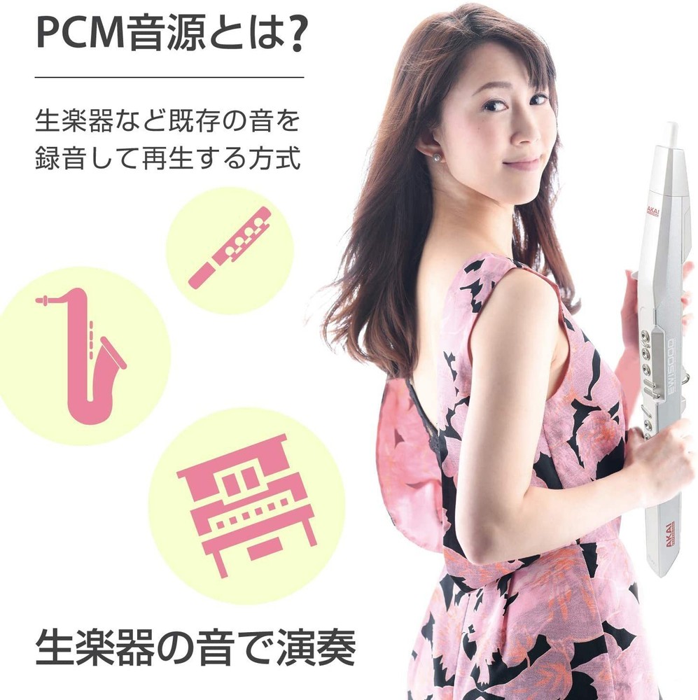 Akai Professional Electronic Wind Instrument EWI5000 White