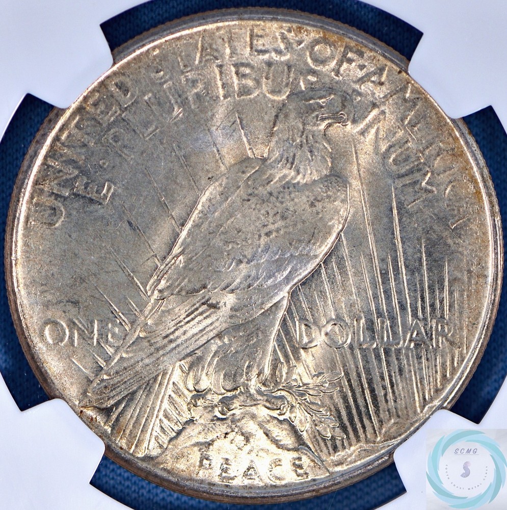 1925 Peace Dollar NGC MS 65 - Impeccable Gem Specimen!