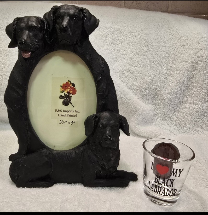CUTE BLACK LABRADOR PICTURE FRAME & GLASS