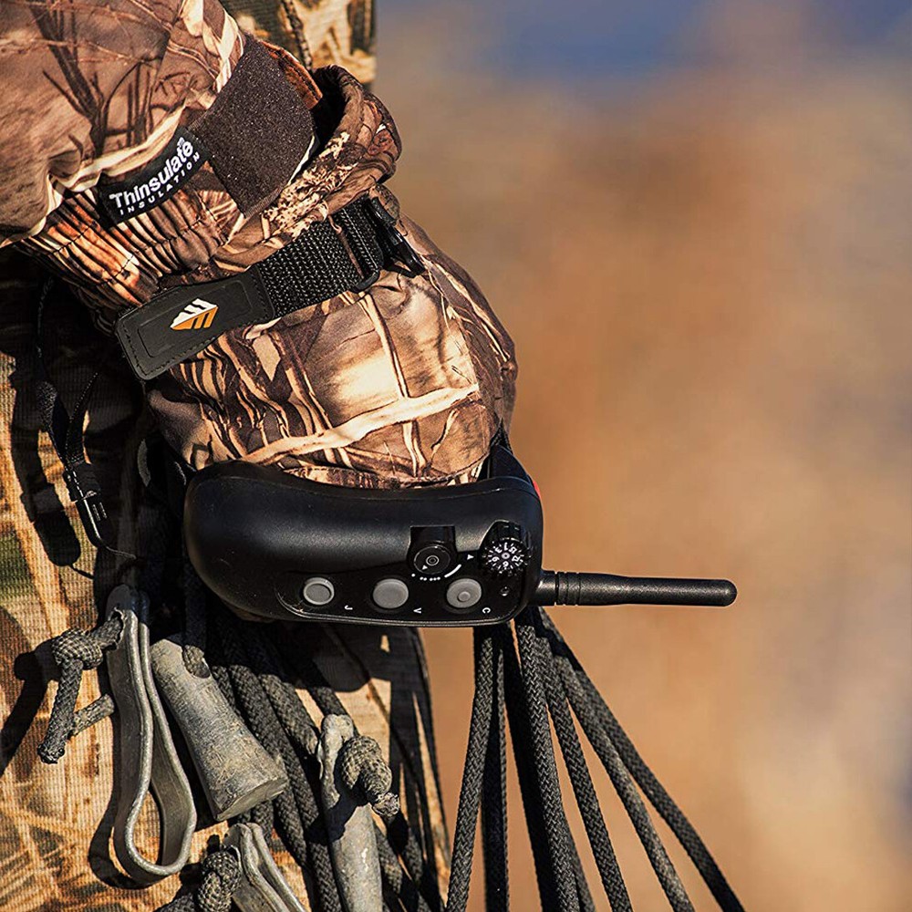 DT Systems Rapid Access Pro Trainer RAPT 1400