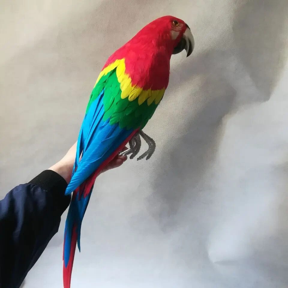big simulation foam&feather red&blue parrot model bird gift about 60cm