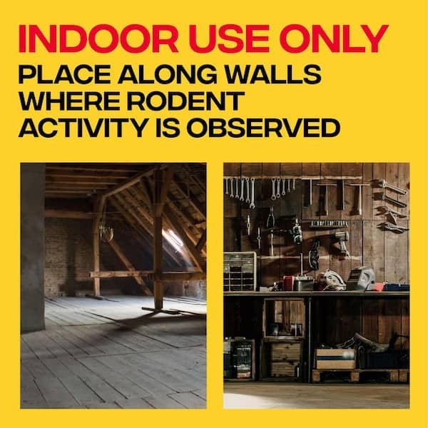 Indoor Electronic Mouse Trap