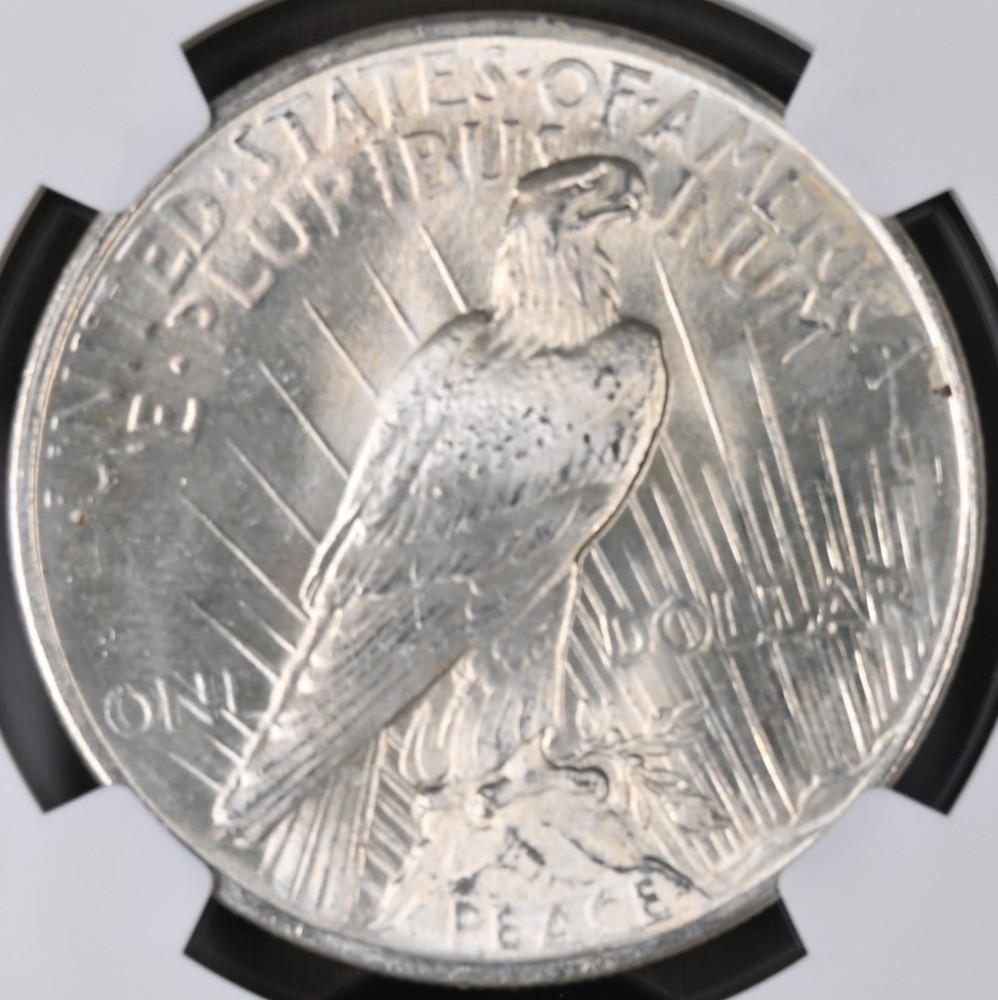 1924 Peace Dollar MS-66 NGC VIDEO